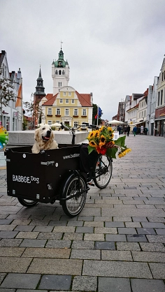 Auftaktveranstaltung Lastenrad mit Hund © Stadt Verden (Aller)
